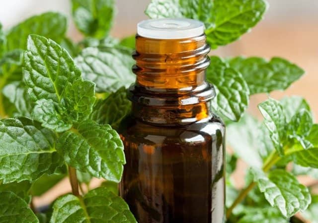 essential oils for constipation